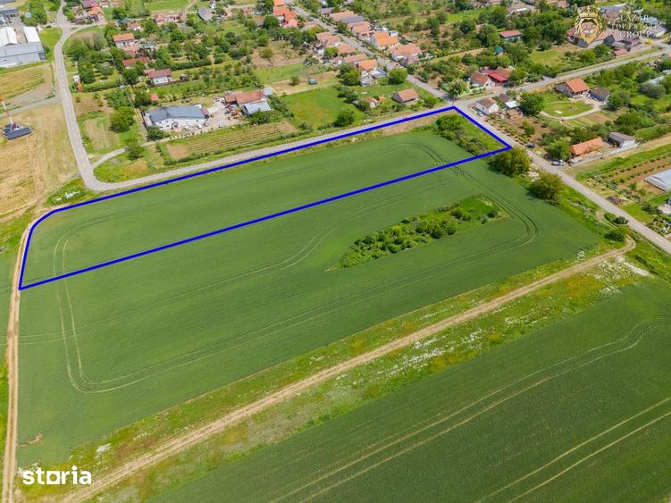 Teren de 6400 mp, în Ghioroc