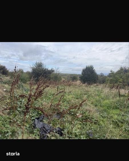 Teren de 350 mp, în Plantelor