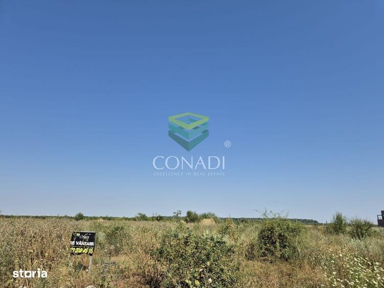 Spațiu comercial, în Central
