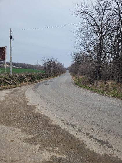Teren de 17000 mp, în Ghizdaru