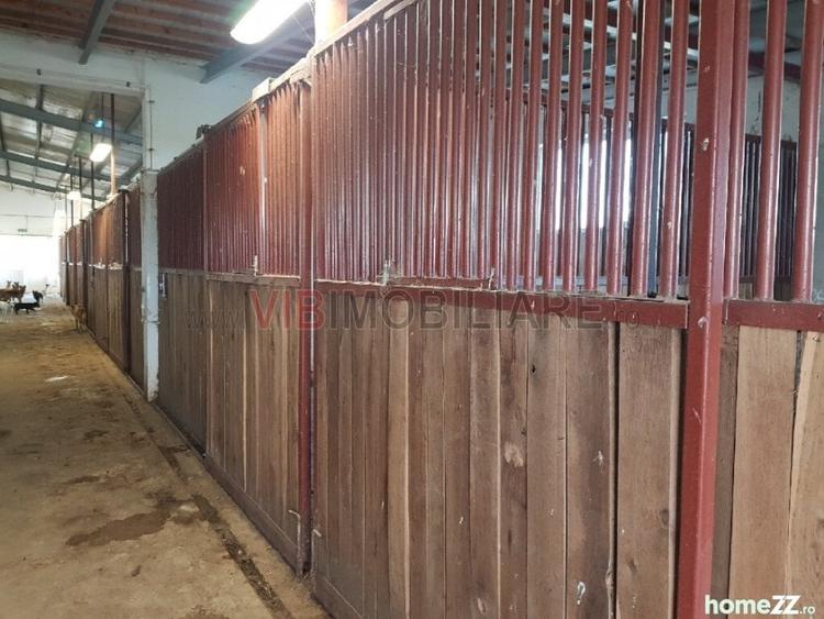 Ferma Zootehnică– Satchinez,  | 9,5 ha teren,vanzare sau schimb pentru jumatate - 14