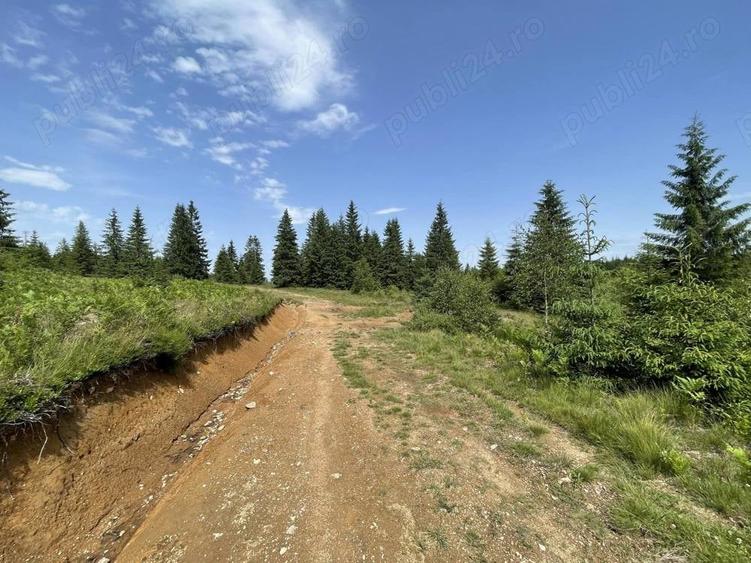 Teren de 1000 mp, în Beliș
