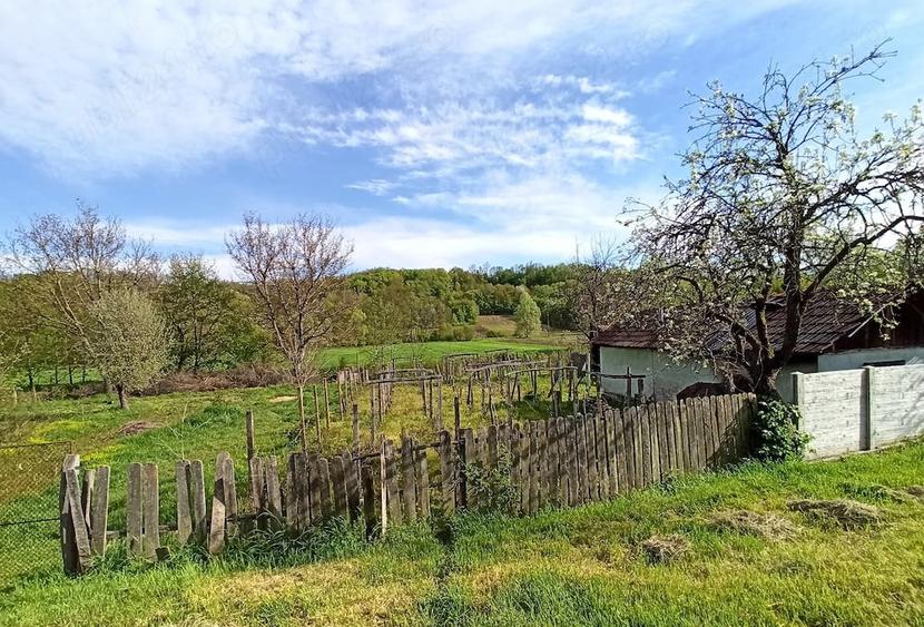 Casă cu Teren 2480 Mp în Păltinișu