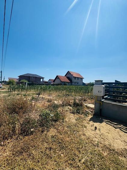 Teren Construcții intravilan de 1924 mp, în Nojorid