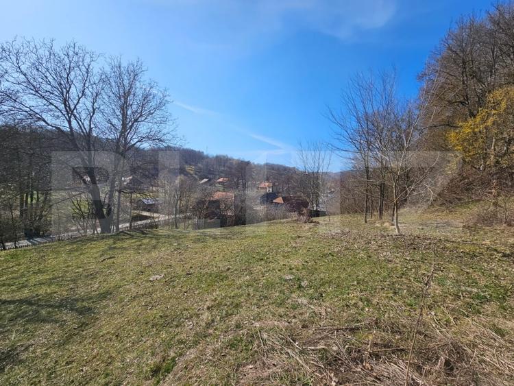 Casă individuală cu 3 camere cu Teren 6820 Mp în Almașu Mare