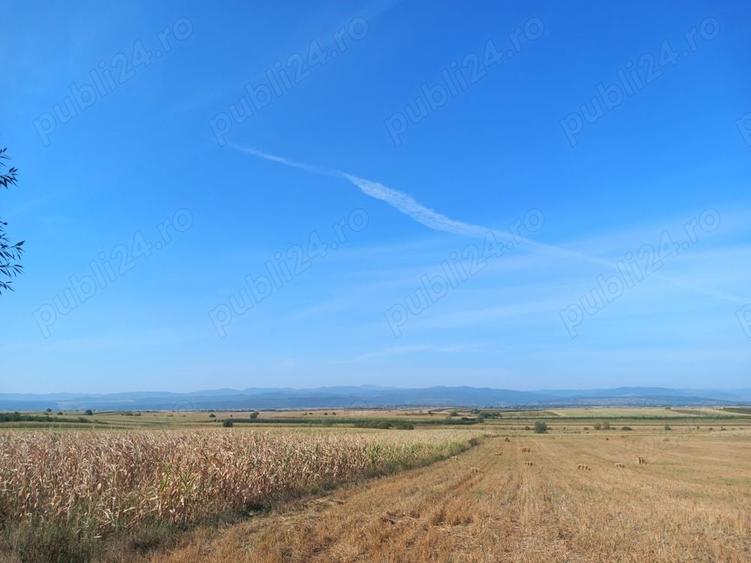 Teren de 9000 mp, în Lămășeni