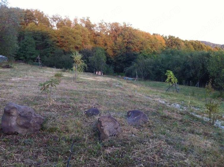 Teren de 7000 mp, în Valea Iașului