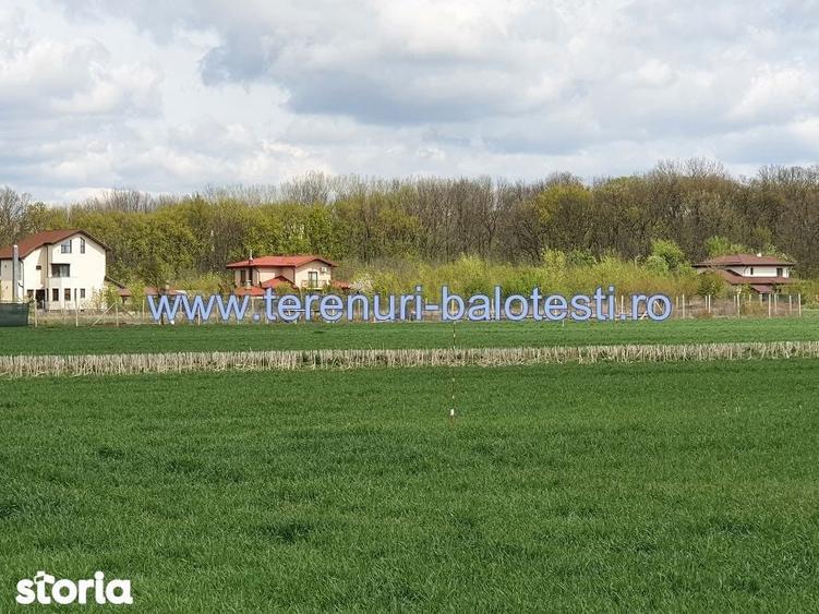 Teren de 800 mp, în Balotești