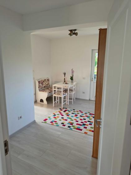Casa de inchiriat/ vanzare, 46 mp Lisaura - 8