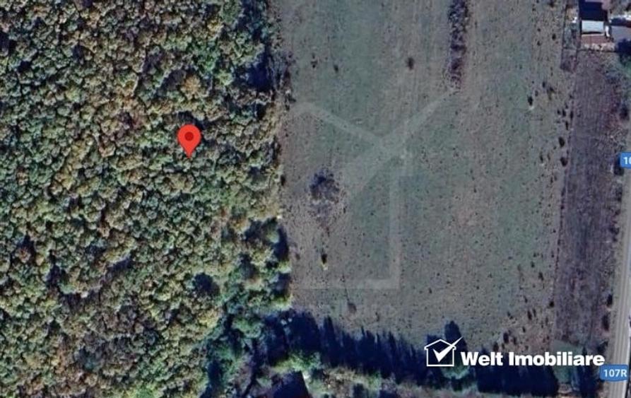 Teren extravilan de 3300 mp, în Sălicea