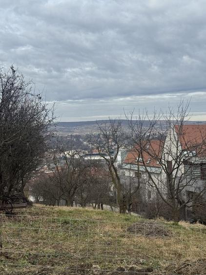 Teren de 1100 mp, în Zorilor
