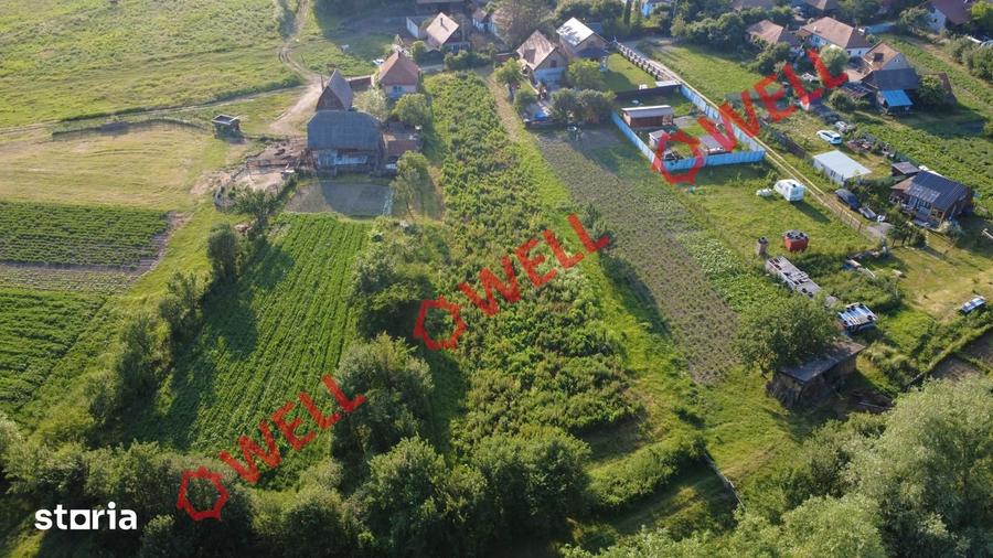 Teren de 2405 mp, în Boroșneu Mare