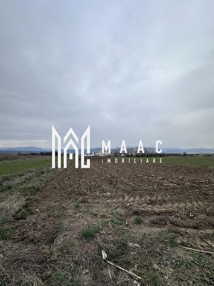 Teren Construcții intravilan de 1530 mp, în Cristian