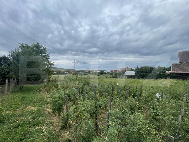 Teren Construcții intravilan de 1000 mp, în Viișoara