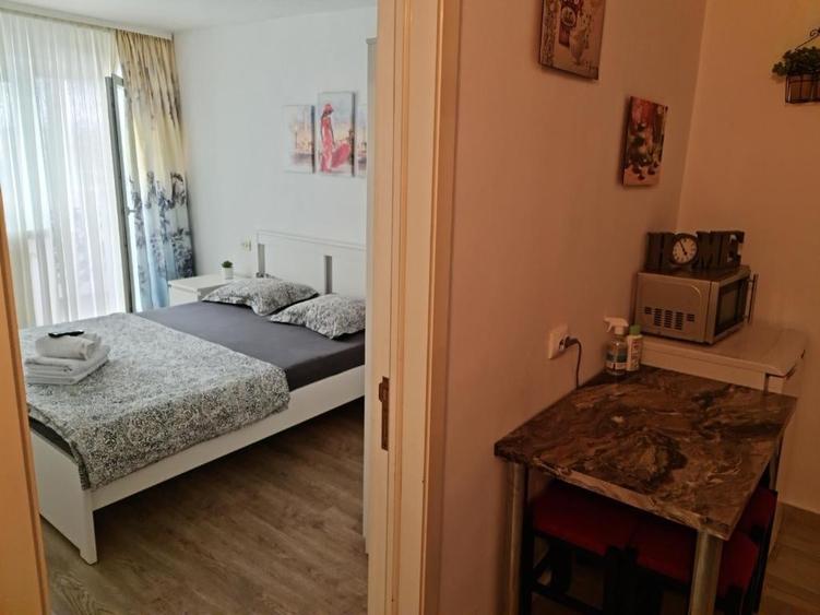 Apartament 2 camere, vedere spre Parcul Cetății, ideal studenți - 5
