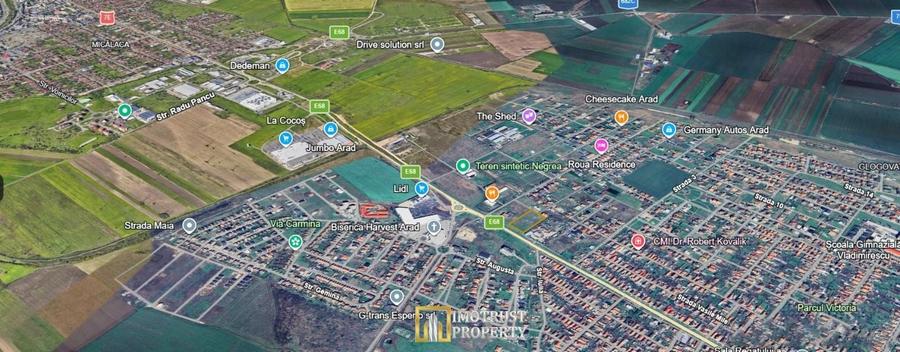 Teren Construcții intravilan de 10003 mp, în Vladimirescu