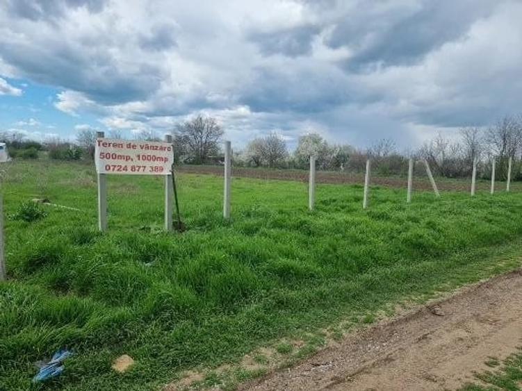 Spațiu comercial, în Nord