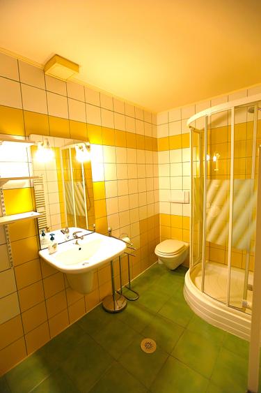 Casă individuală cu 7 camere cu Canalizare în Centrul Civic