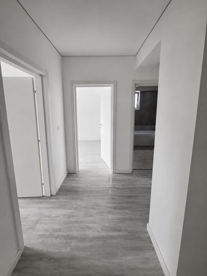 Apartament cu 2 camere semidecomandat în Vișani