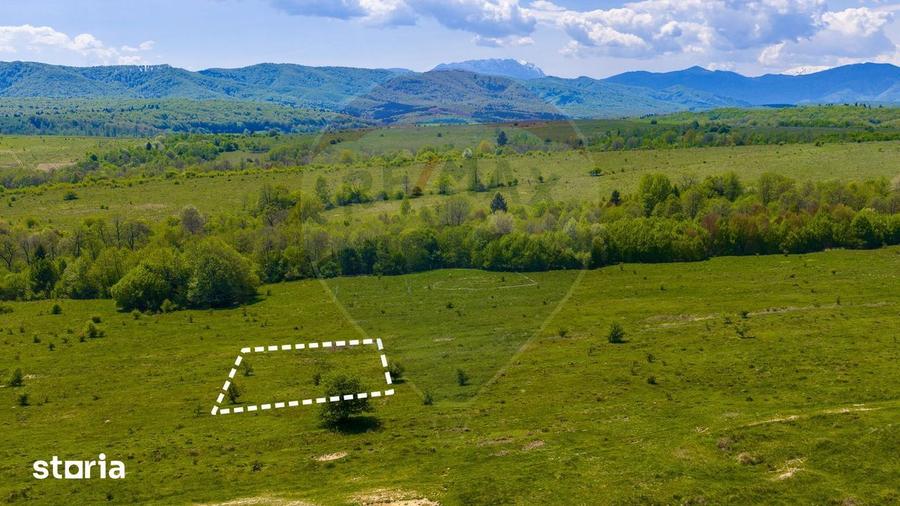 Teren de 500 mp, în Dumbrăvița