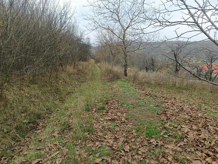 RECO Teren  in Oradea - 9