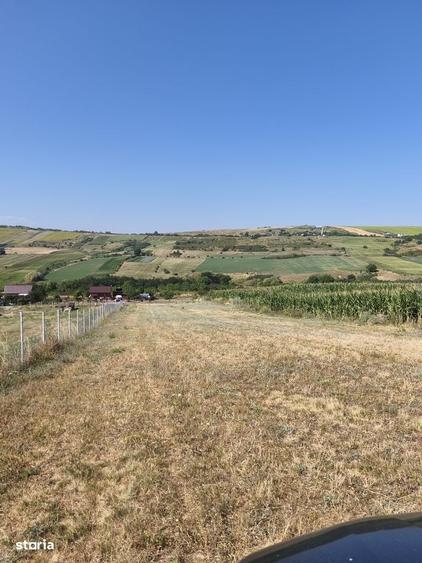 Teren cu o panorama superba,la marginea padurii ( rezervatie naturala) - 5
