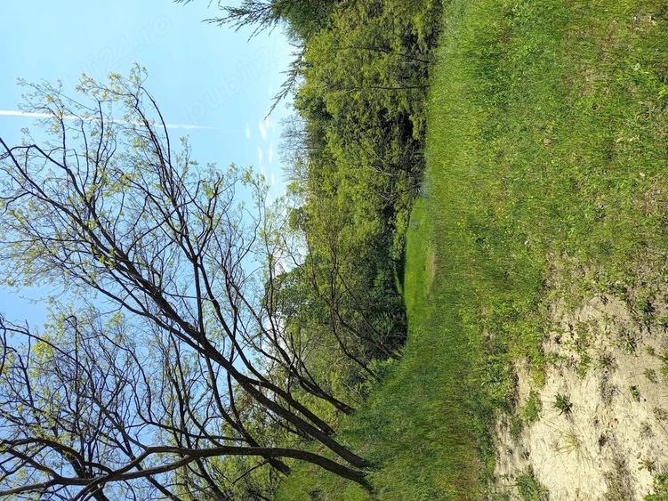 Teren de 17112 mp, în Cicănești