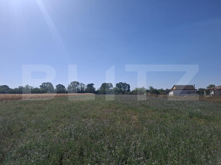 Teren Construcții intravilan de 3746 mp, în Mădăras