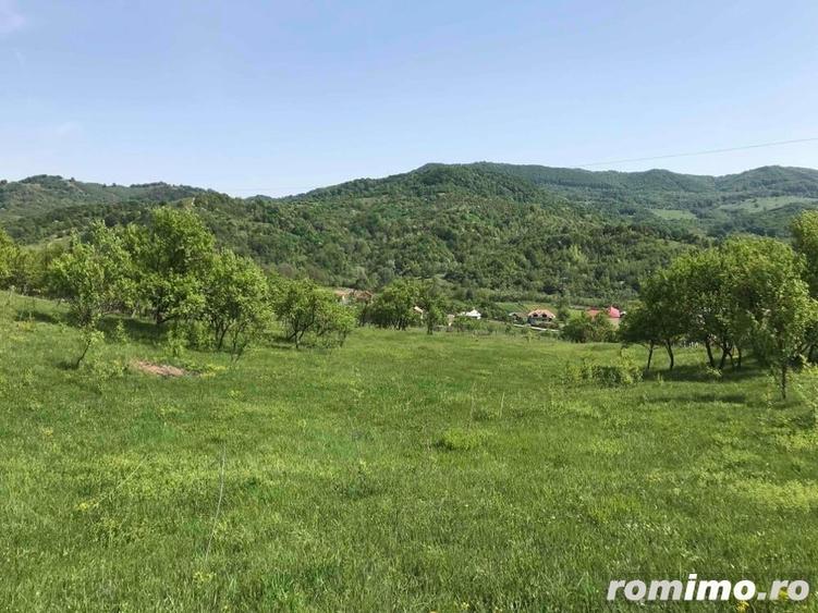 Teren în Stoenești