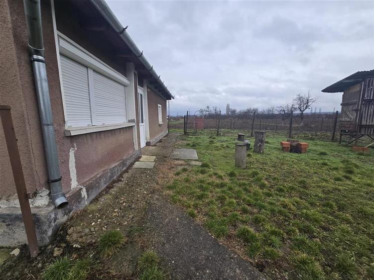 Casă cu 2 camere cu Teren 2685 Mp în Tăuteu