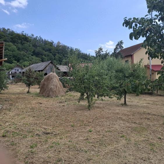 Teren de 7500 mp, în Cărpeniș