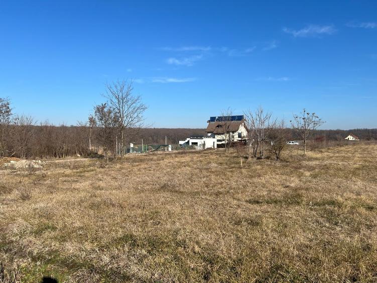 Teren Construcții intravilan de 1000 mp, în Grădiștea