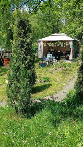 Casă cu Teren 1270 Mp în Provița de Jos