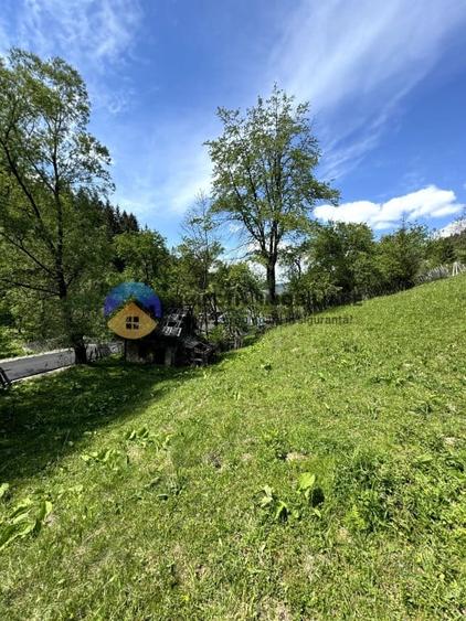 Teren intravilan de 11557 mp, în Ceahlău