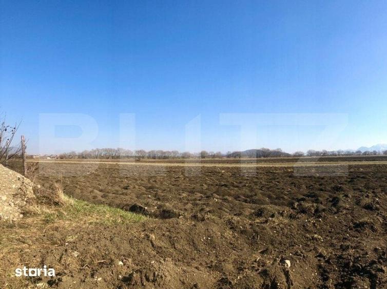 Teren de 10000 mp, în Dârste