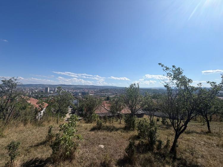 Teren Construcții intravilan de 5000 mp, în Dâmbul Rotund