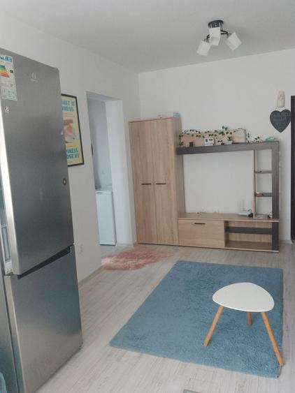 Apartament cu 2 camere în Turnișor