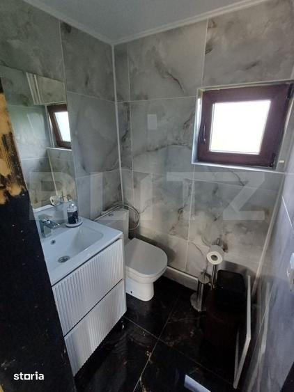 Teren intravilan 60 ari cu iaz si cabana, zona Ilisesti - 9