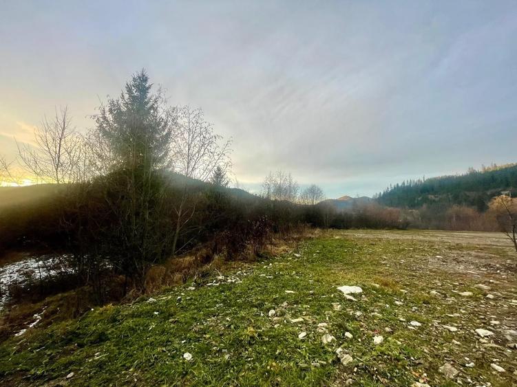 Teren Construcții intravilan de 22600 mp, în Sucevița