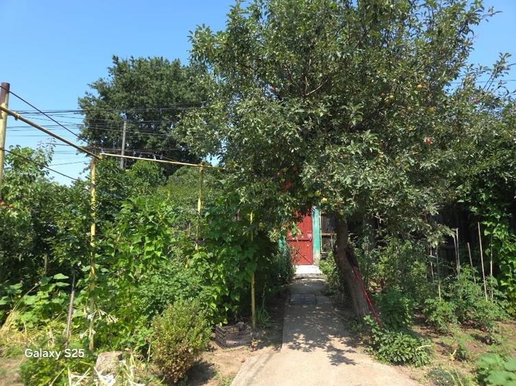 Teren Construcții intravilan de 312 mp, în Bucureștii Noi