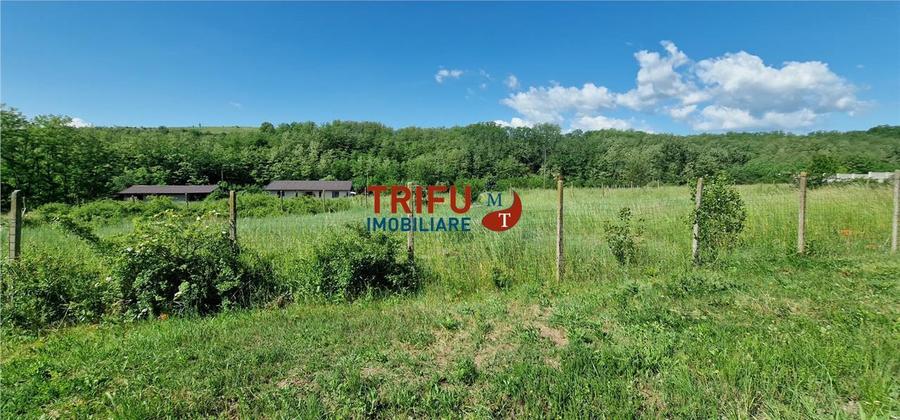 Teren Construcții intravilan de 772 mp, în Teleac