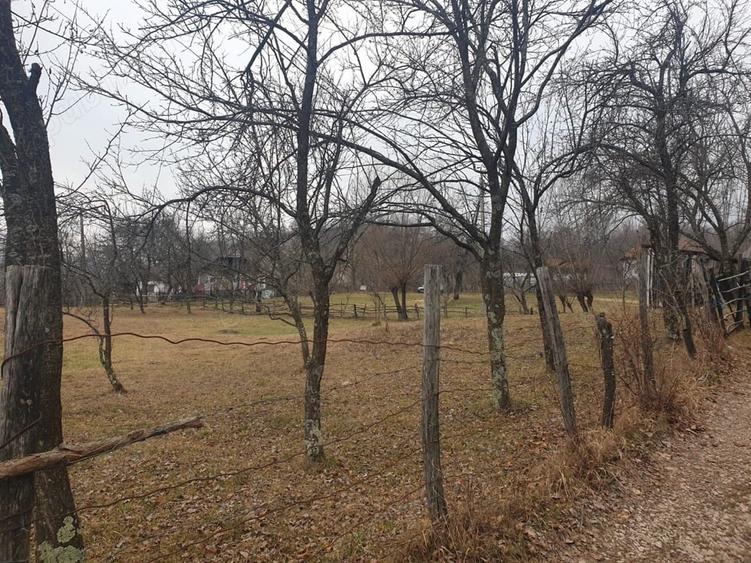 Teren de 2911 mp, în Brebu