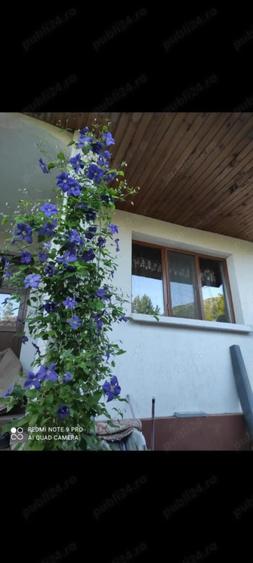 Casă cu 3 camere cu Teren 7700 Mp în Nojag