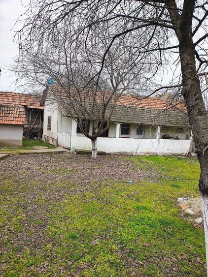 Casă cu 5 camere cu Teren 1600 Mp în Afumați