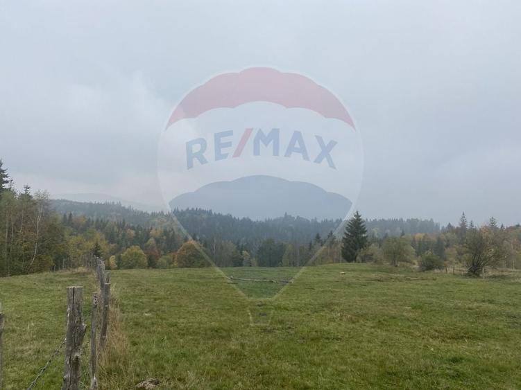 Teren Construcții intravilan de 8119 mp, în Călățele