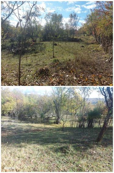 Teren de 3500 mp, în Berevoești