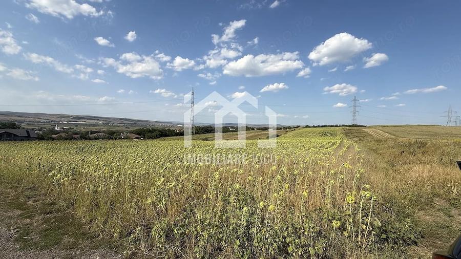 Teren de 11600 mp, în Jucu