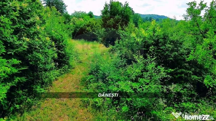 Teren intravilan 6115mp | Danesti, Maramures | Oportunita... - 10