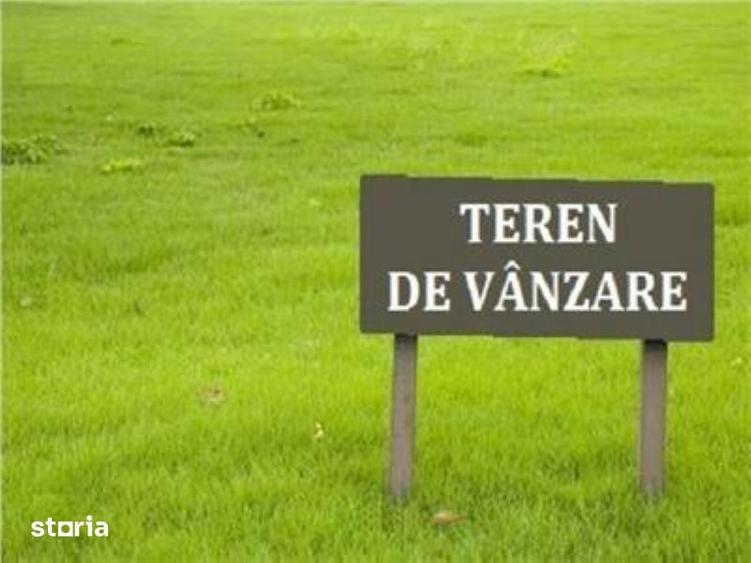 Teren Venus - 1