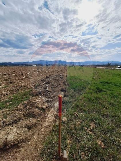 Teren agricol extravilan de 7849 mp, în Periferie